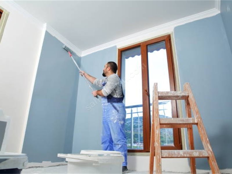 Didim Boya Badanacı